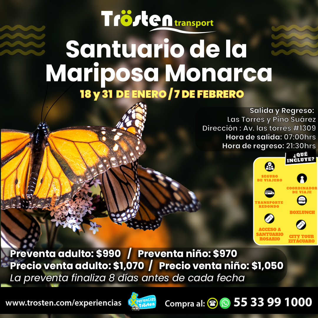 MARIPOSA MONARCA TROSTEN (1)