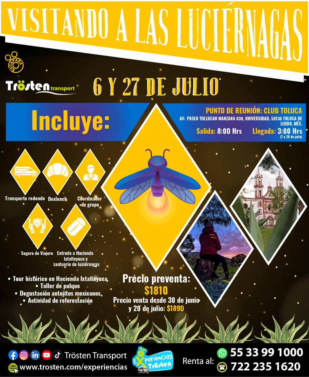 Visitando a las luciernagas